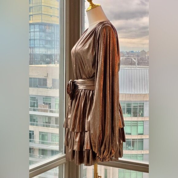🆕 BRONX & BANCO 🧿 NWOT Bellerose Ruffled Mini Dress, Metallic - Sz M / US 6 - Picture 10 of 15